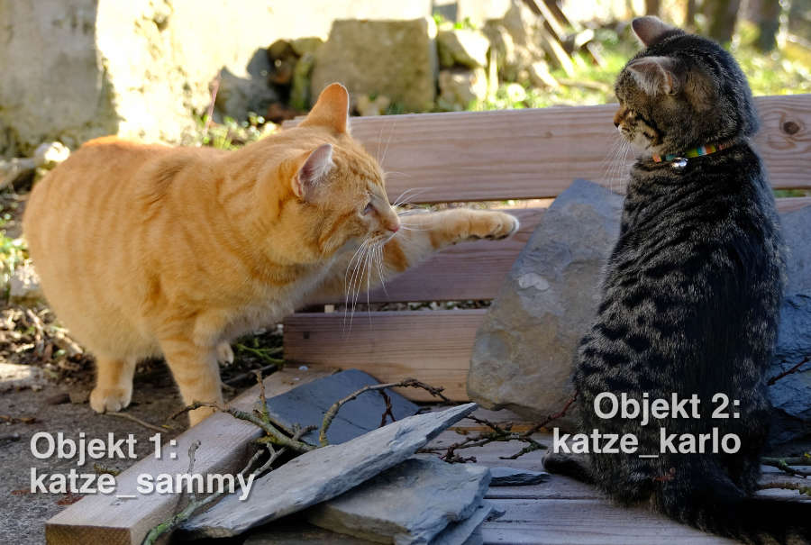 2 Katzen-Objekte mit unterschiedlichen Eigenschaften