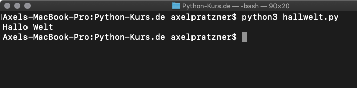 Python-Programm ausführen