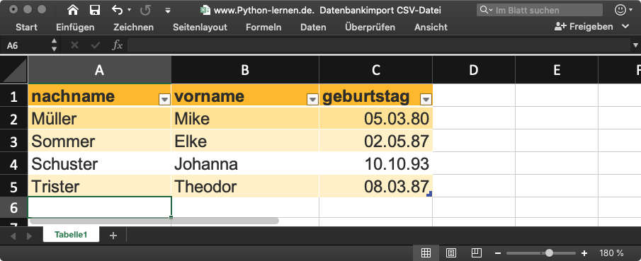Daten aus Excel über CSV-Datei in Python Datenbank importieren